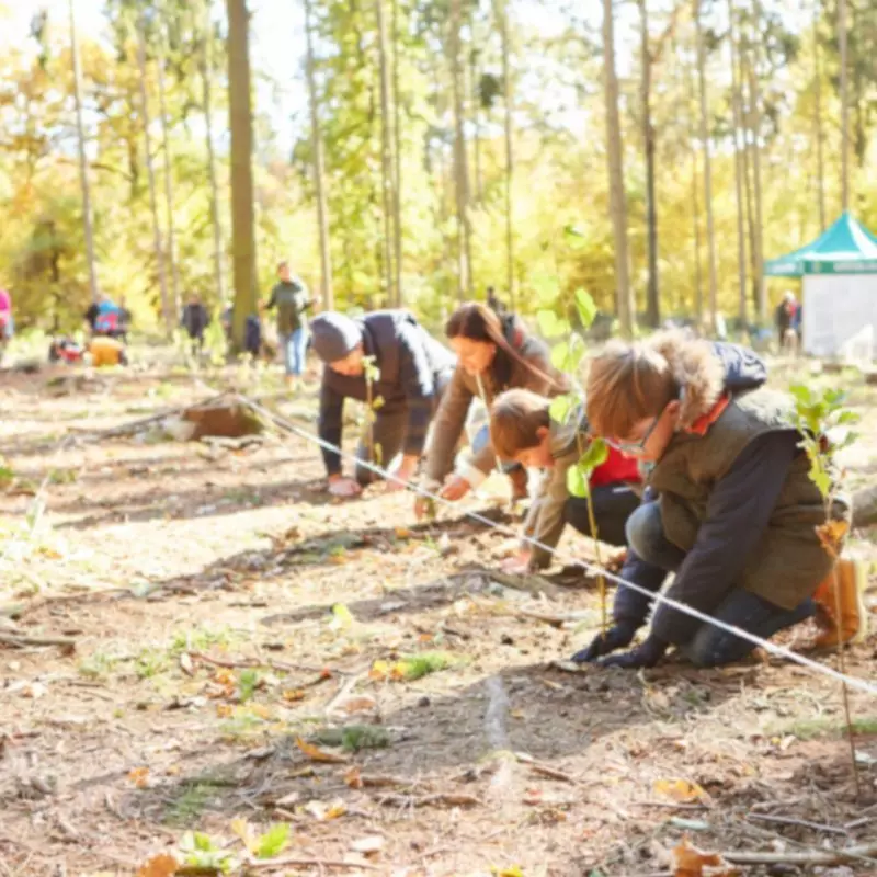Ferienfreizeit im Wald