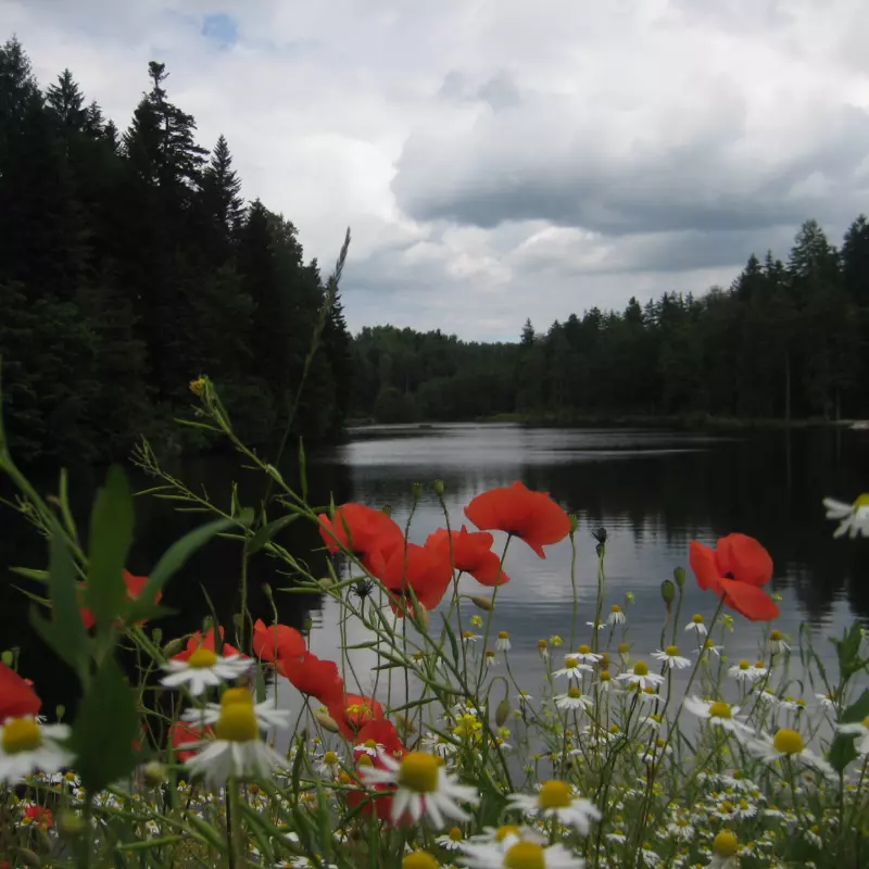 ebnisee-natur.jpg