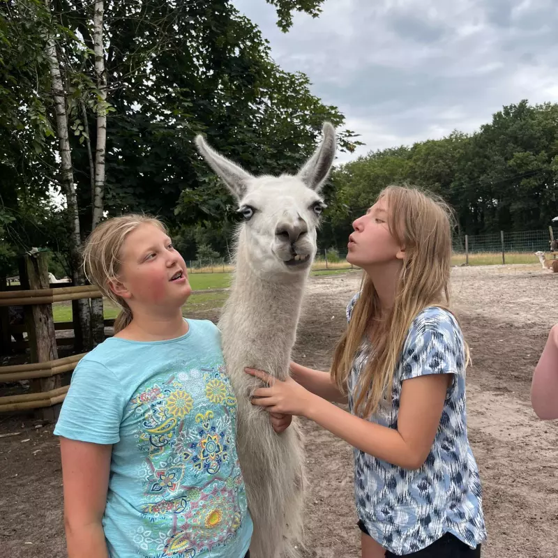 kinder mit Lama