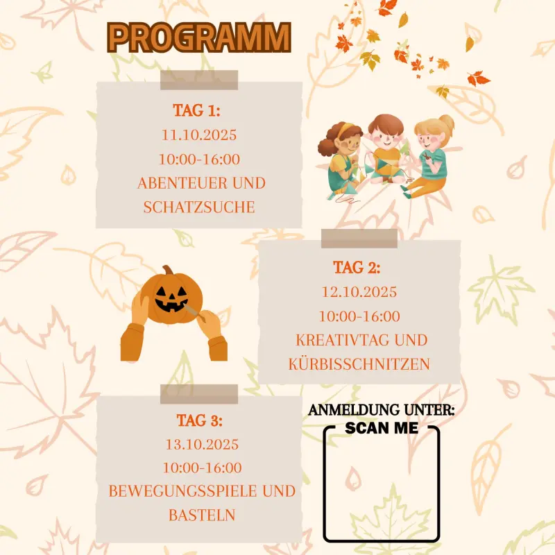 Programm FSP