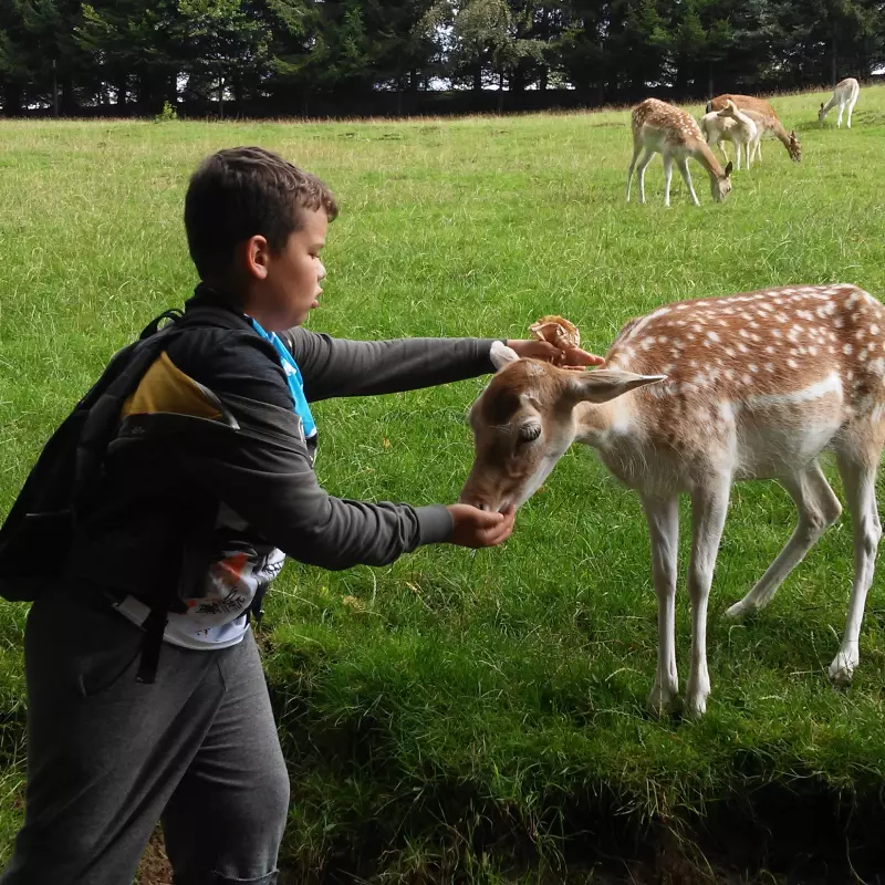 Wildtierpark Rhön Kinderfreizeit