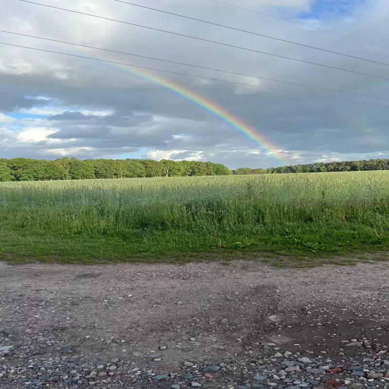 Regenbogen