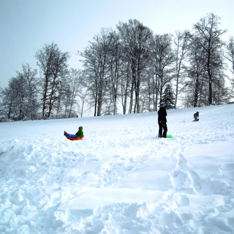 Jugendwerk der AWO Württemberg Kinderwinter Schlitten