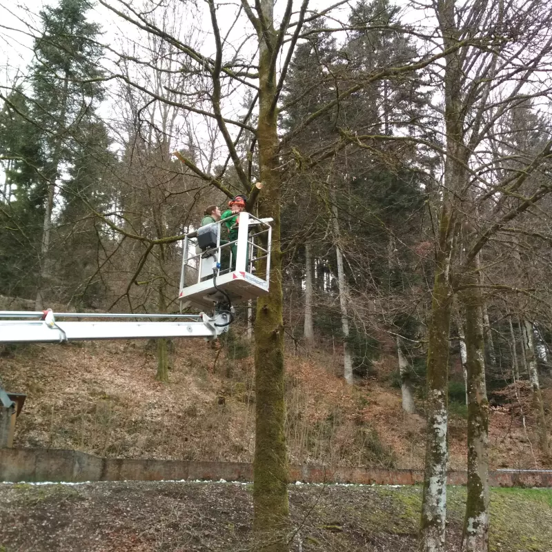 Jugendwerk Württemberg Workcamp Altensteig Kran