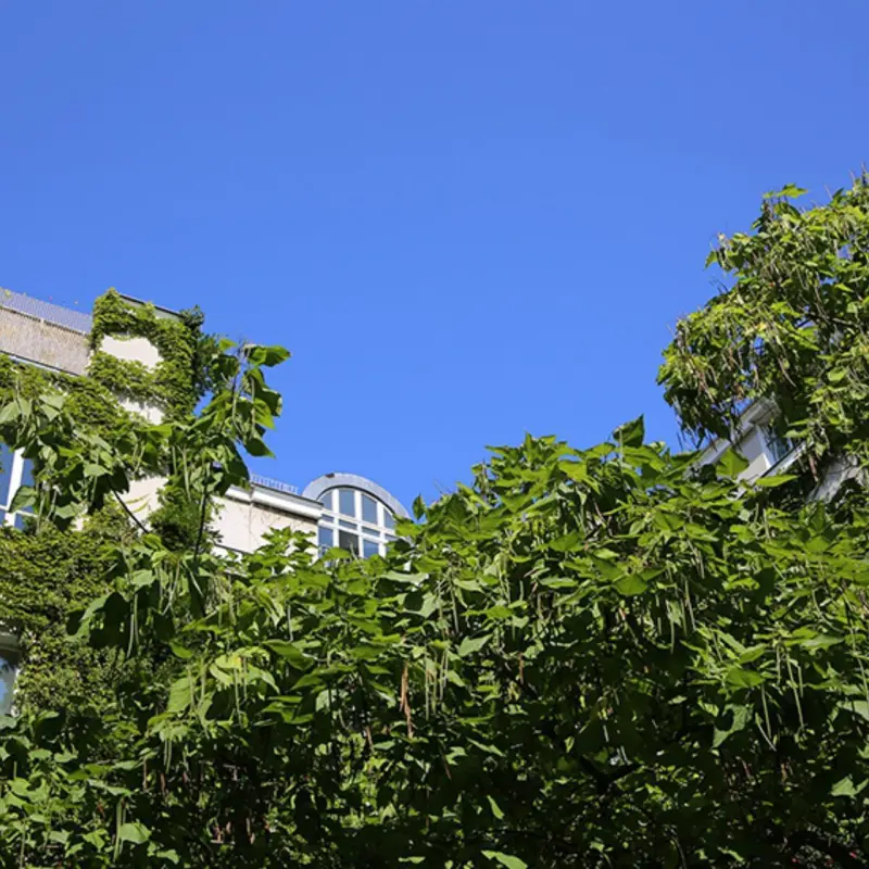 AF Berlin Außen Sommer