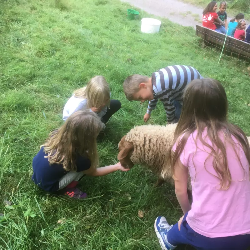 Jugendwerk Württemberg Wacholderhof Kinder