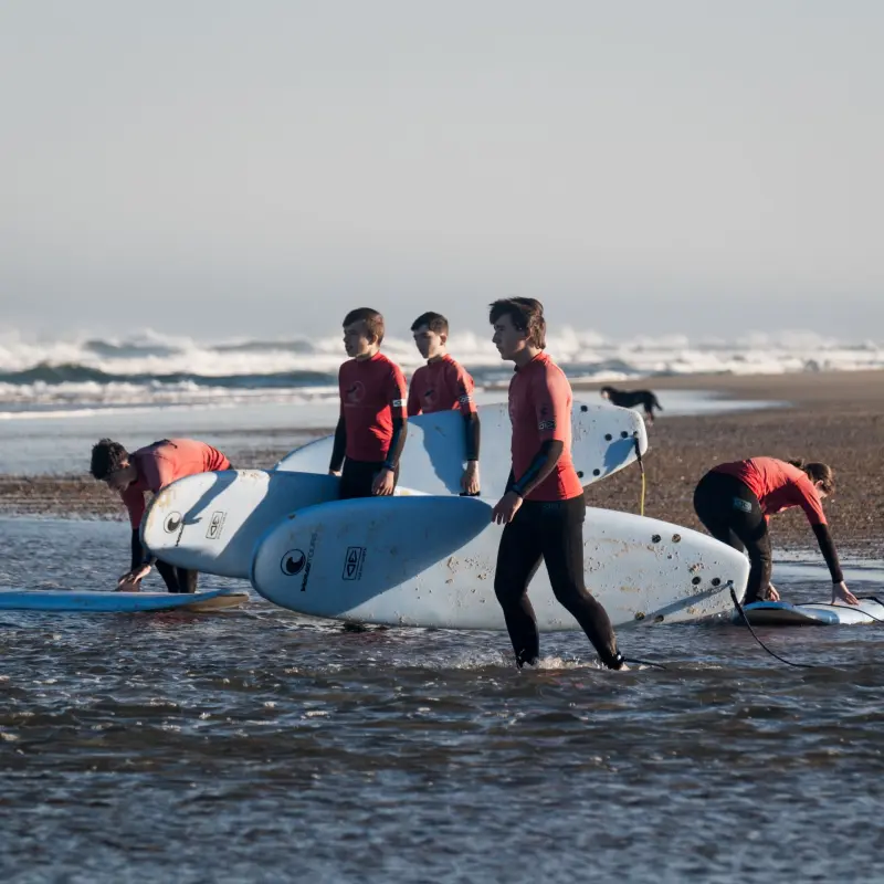 Surfen