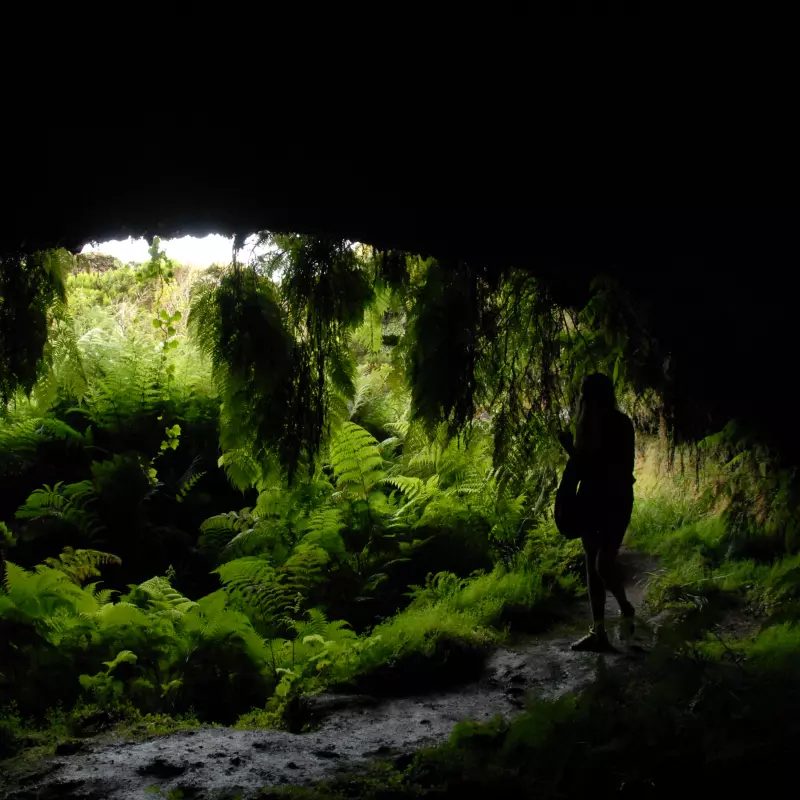 Jugendwerk Württemberg Delfincamp Höhle