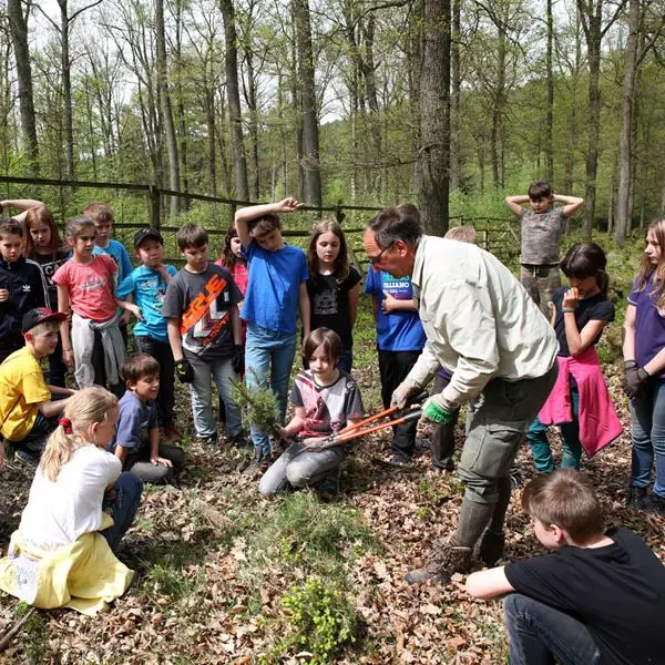 Excursion im Wald