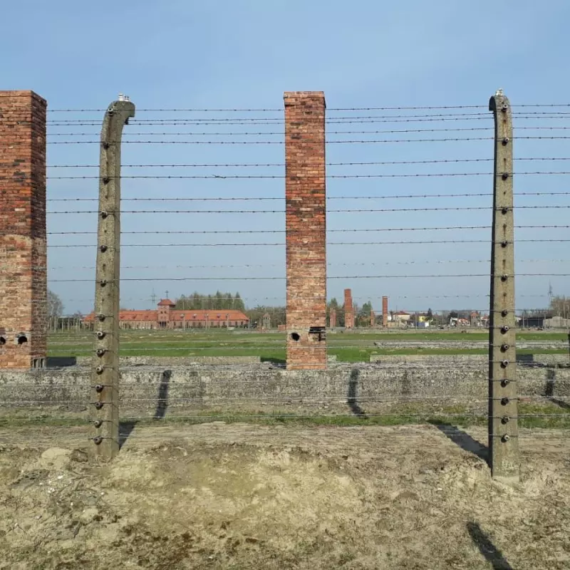 In Auschwitz 2