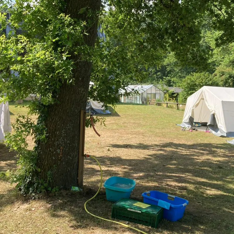 Baum mit Zelt