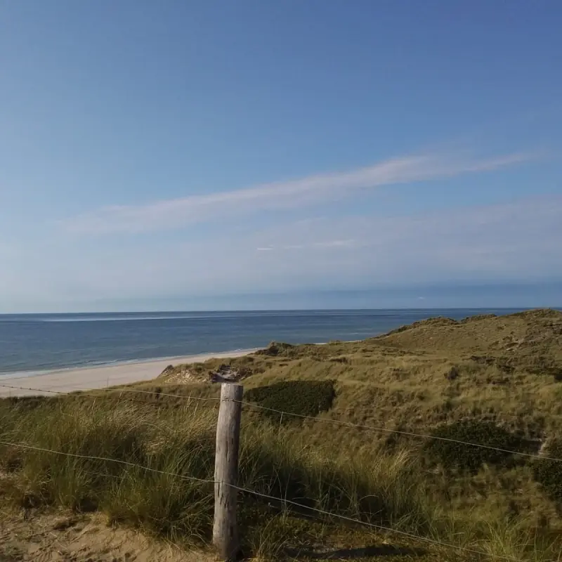 Strand