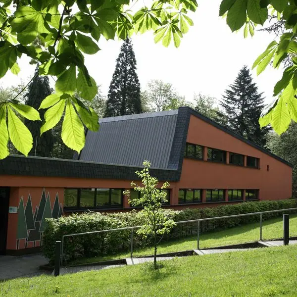 Waldheim frontal