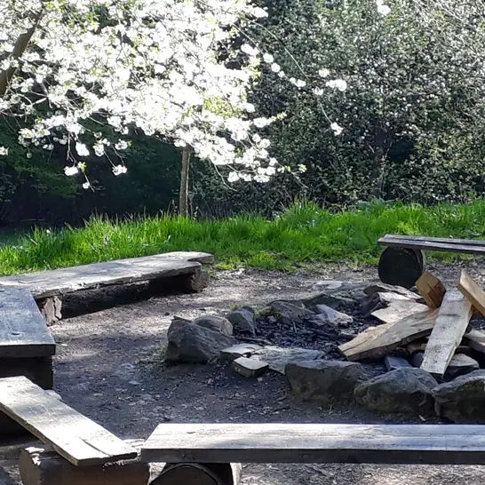 Feuerstelle mit Bänken
