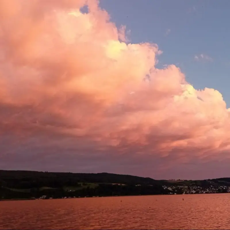 Bodensee rosa