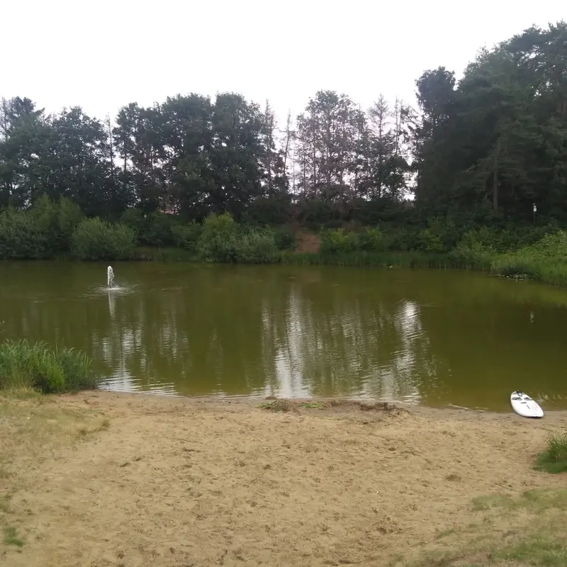 Schwimmteich Campingplatz