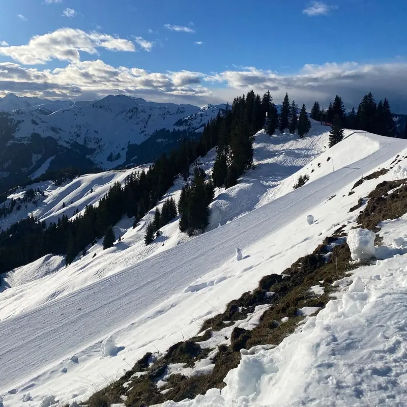 Amadé_Österreich