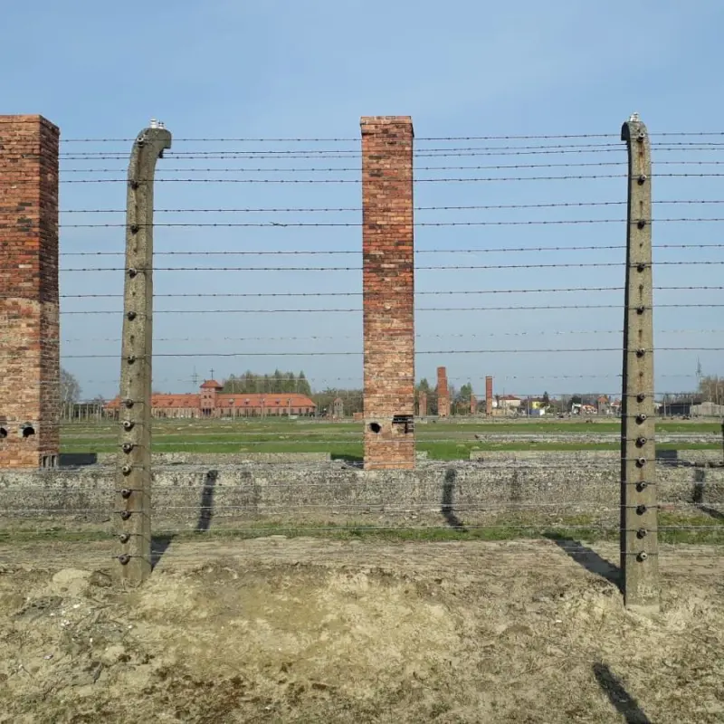 In Auschwitz 2