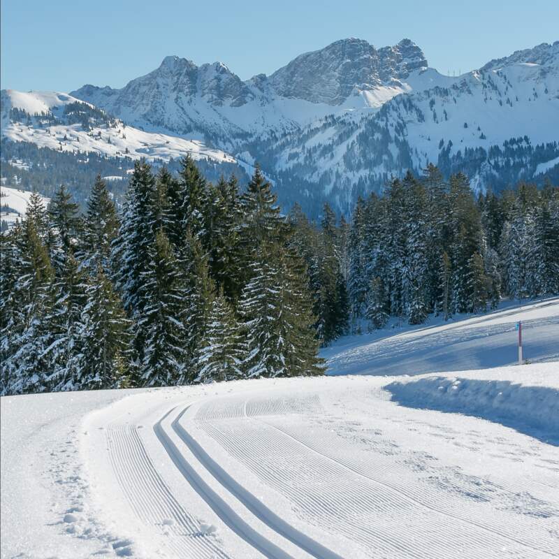 Skifreizeit