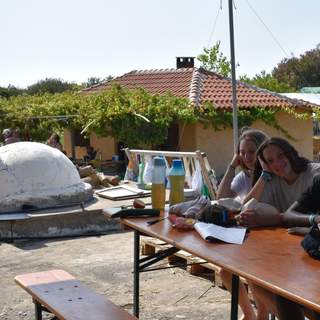 Workshops