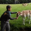 Wildtierpark Rhön Kinderfreizeit