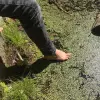 Fuß im Wasser