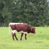Jugendwerk Württemberg Wacholderhof Kinder