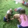 Jugendwerk Württemberg Wacholderhof Kinder