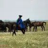Jugendwerk der AWO Württemberg Ungarn Internationale Jugendbegegnung